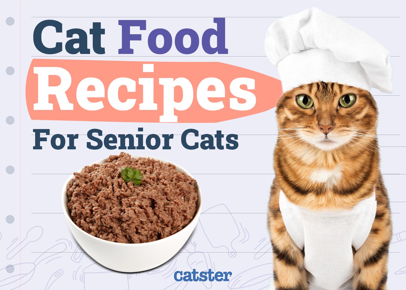 6 Homemade Cat Food Recipes for Senior Cats (With Pictures)