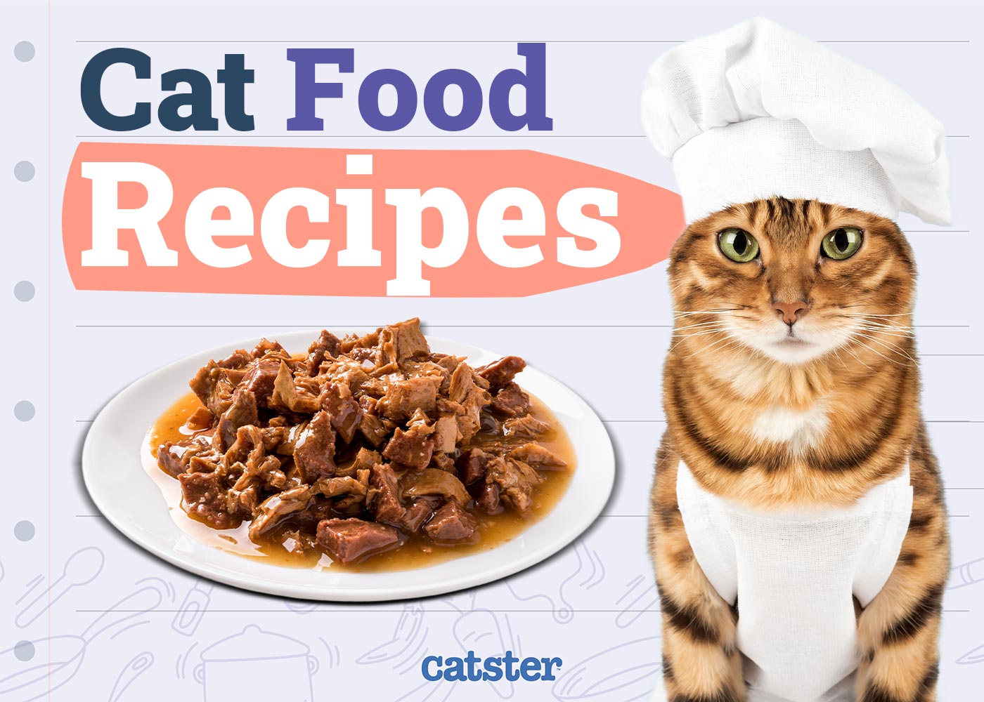 5 Homemade Cat Food Recipes (Vet Approved)