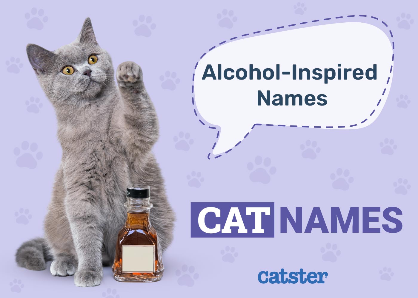 200 Alcohol Inspired Names for Cats: How to Name Your Cat