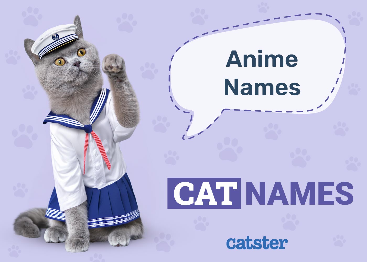 300+ Anime Cat Names: Ideas for Cool & Animated Cats