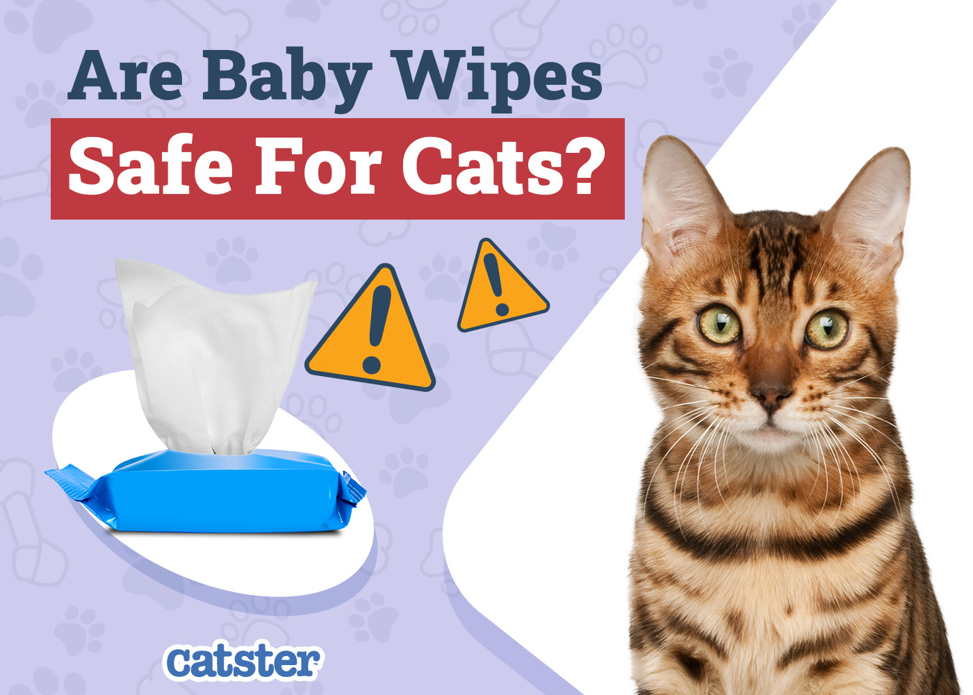Are Baby Wipes Safe to Use on Cats? Vet-Reviewed Facts & FAQ