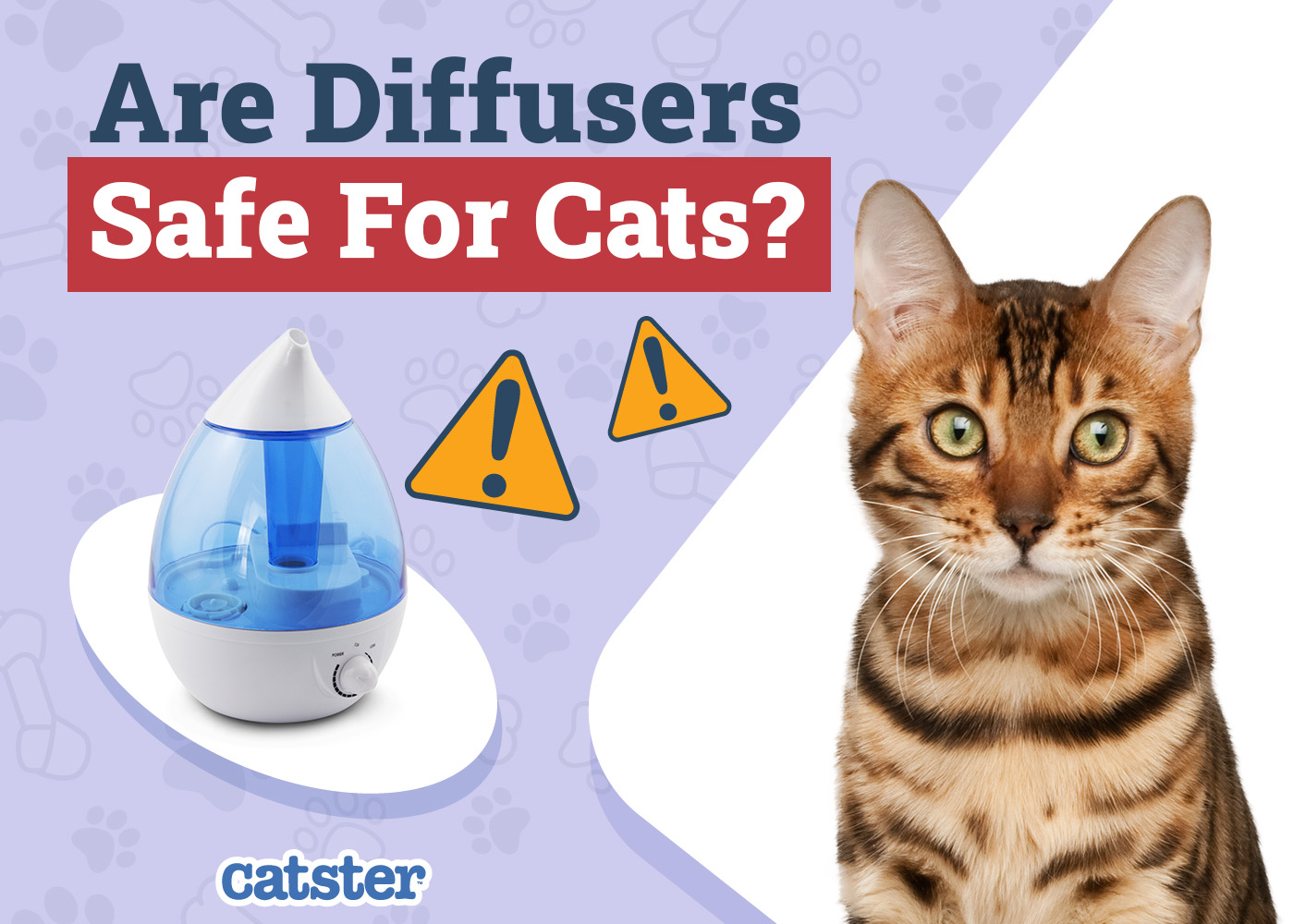 Are Diffusers Safe for Cats to be Around? Vet-Approved Science & Safety Guide