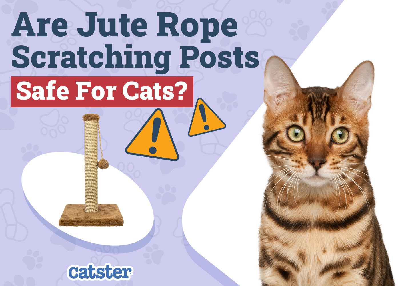 Are Jute Rope Scratching Posts Safe for Cats? (Common Materials Explained)
