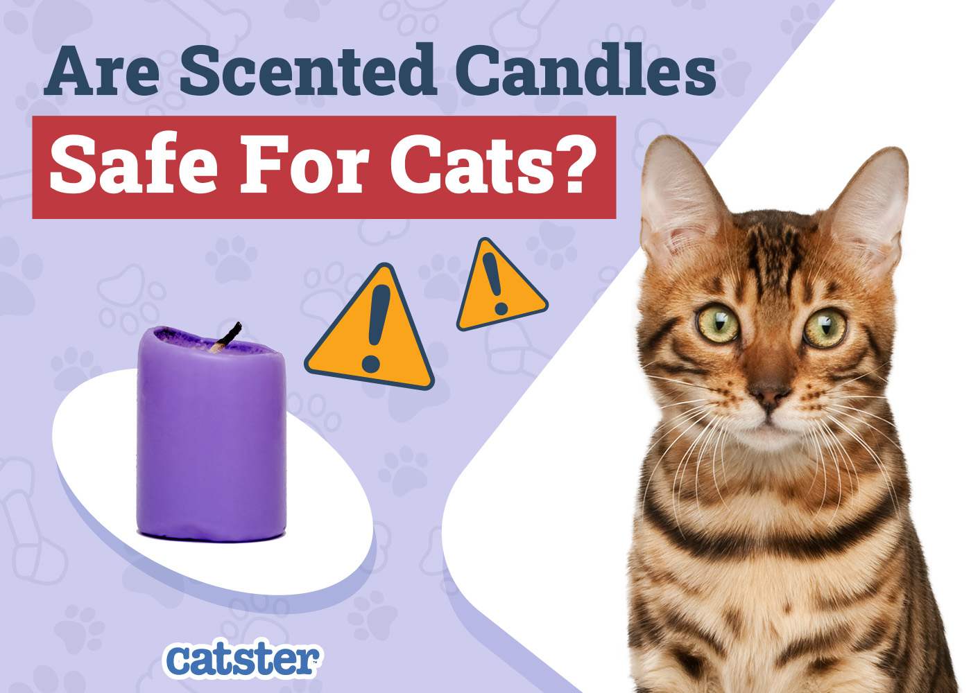 Are Scented Candles Safe for Cats? Vet-Verified Facts & Info