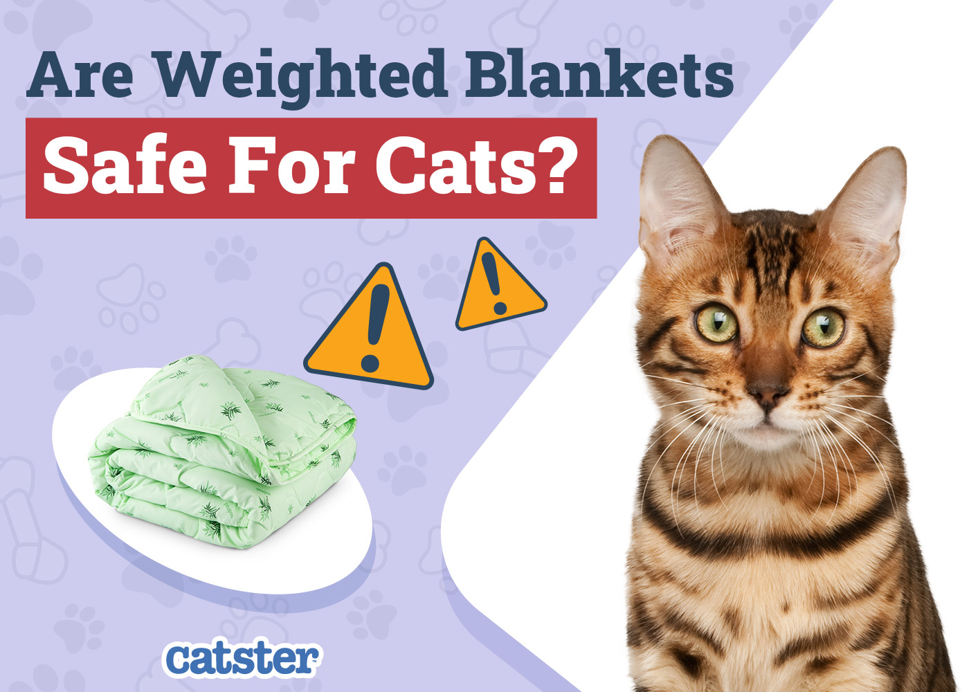 Are Weighted Blankets Safe for Cats? Vet-Approved Facts & FAQ