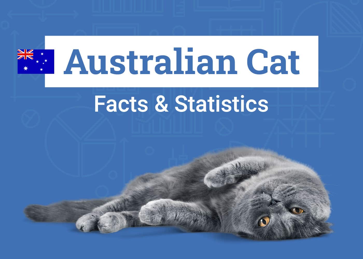 17 Australian Cat Statistics & Facts All Cat Lovers Should Know (2026 Update)