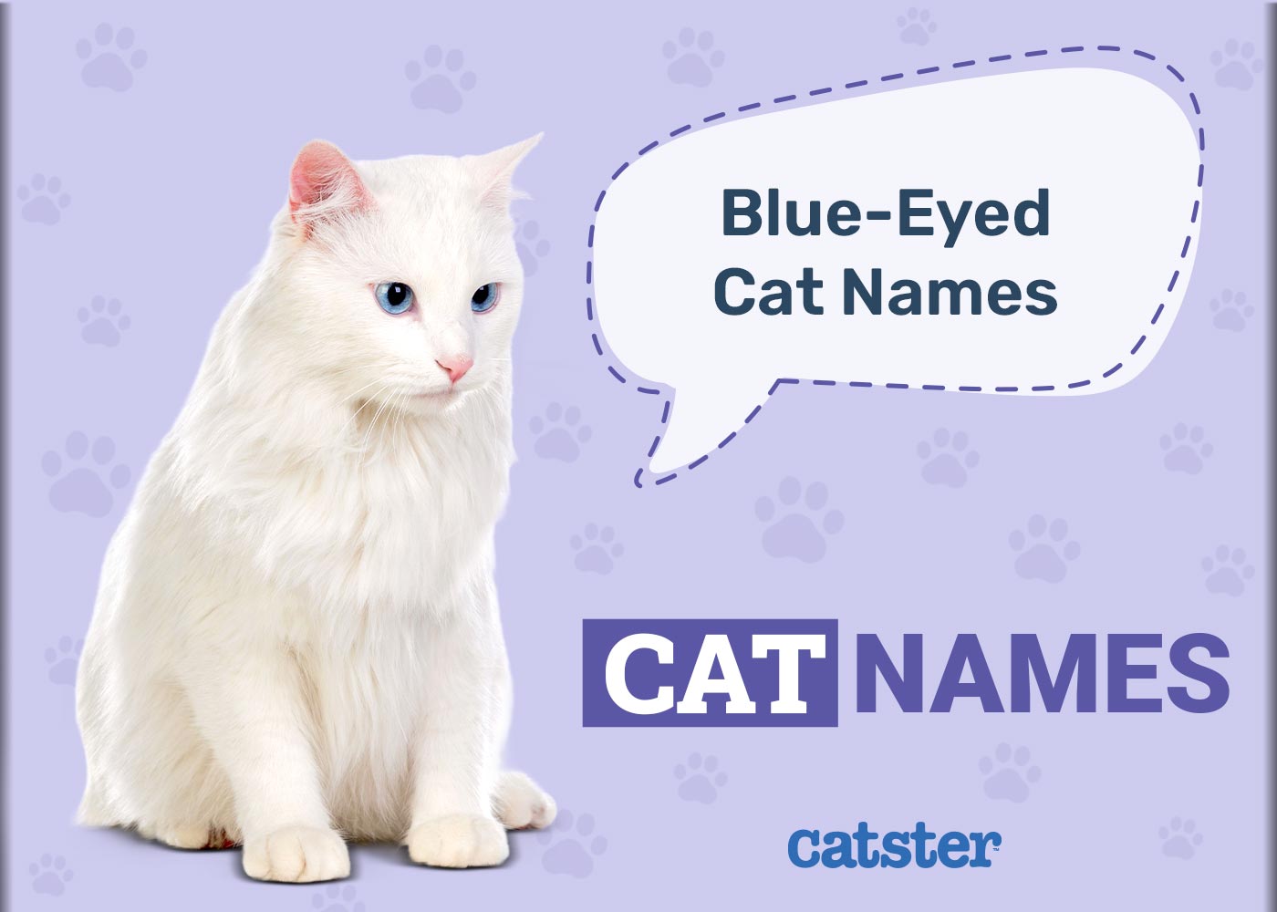 200+ Blue Eyed Cat Names: Beautiful & Unique Ideas