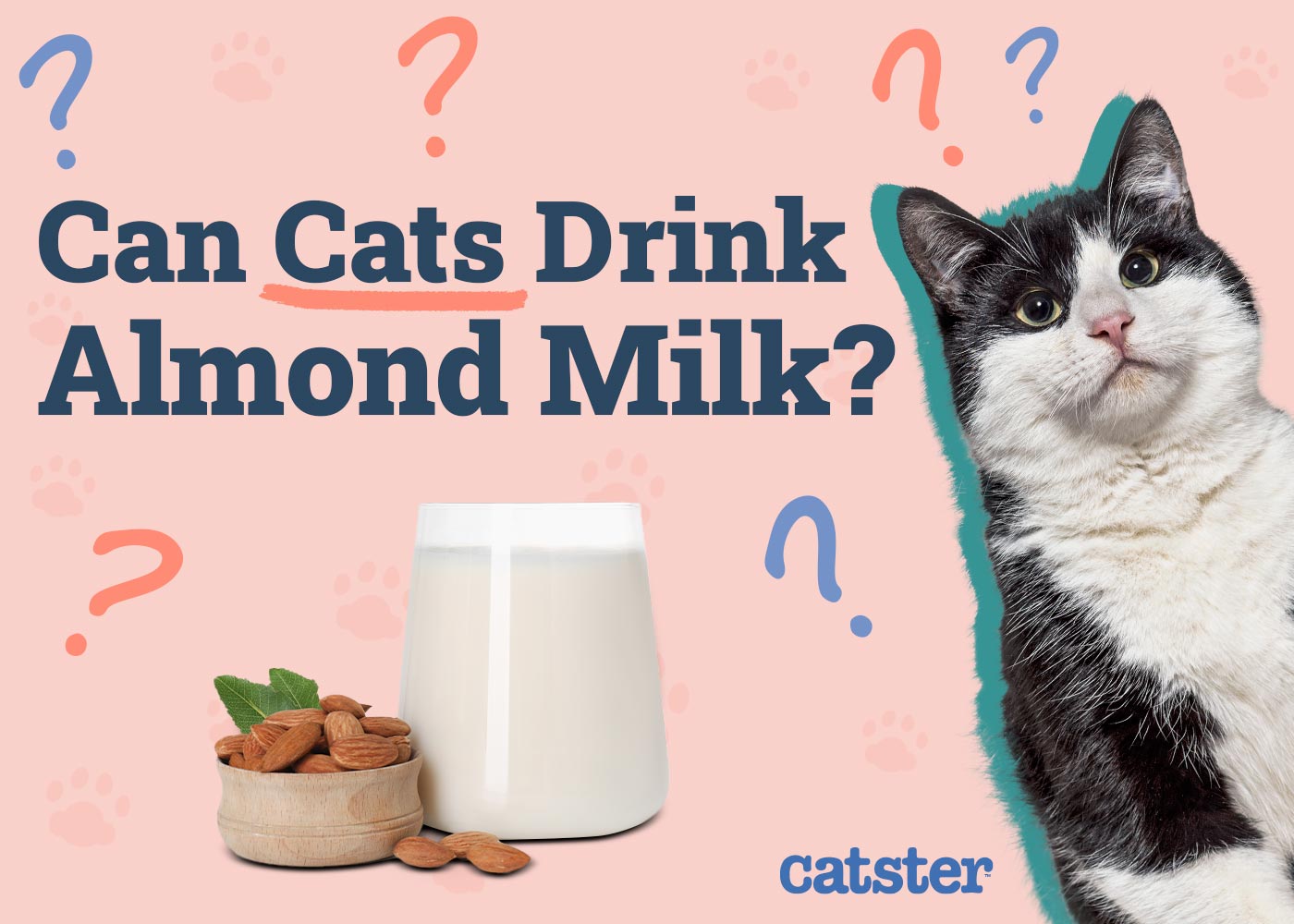 Can Cats Drink Almond Milk? Vet Approved Nutrition Facts