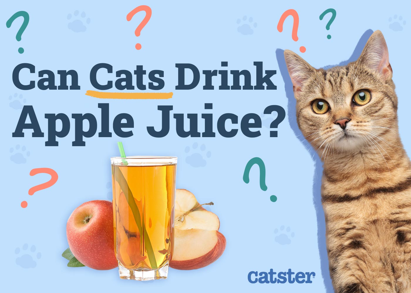 Can Cats Drink Apple Juice? Vet-Reviewed Facts & Advice