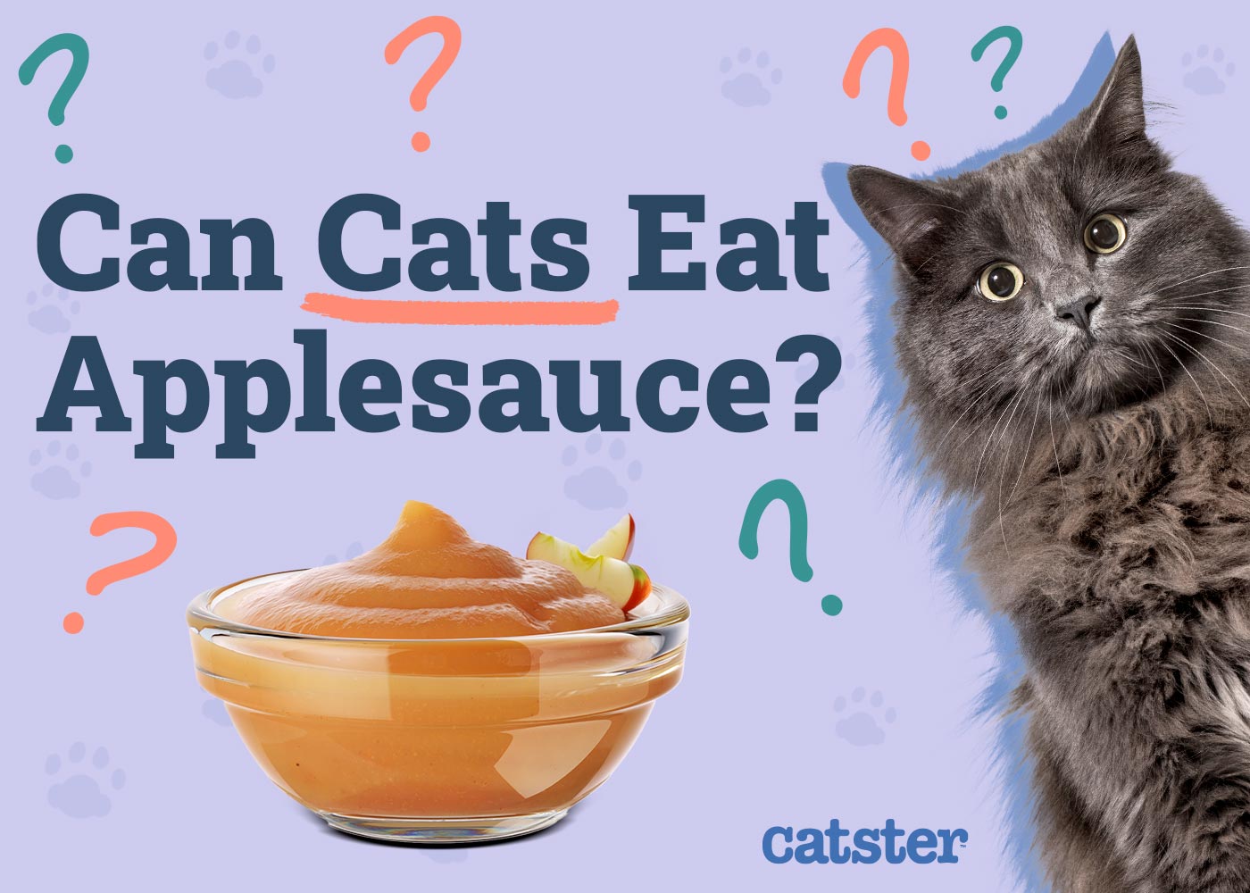 Can Cats Eat Applesauce? Vet-Reviewed Facts & Considerations