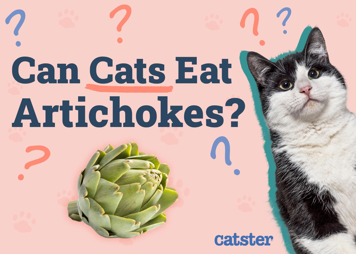 Can Cats Eat Artichokes? Vet Reviewed Facts & Safety Guide