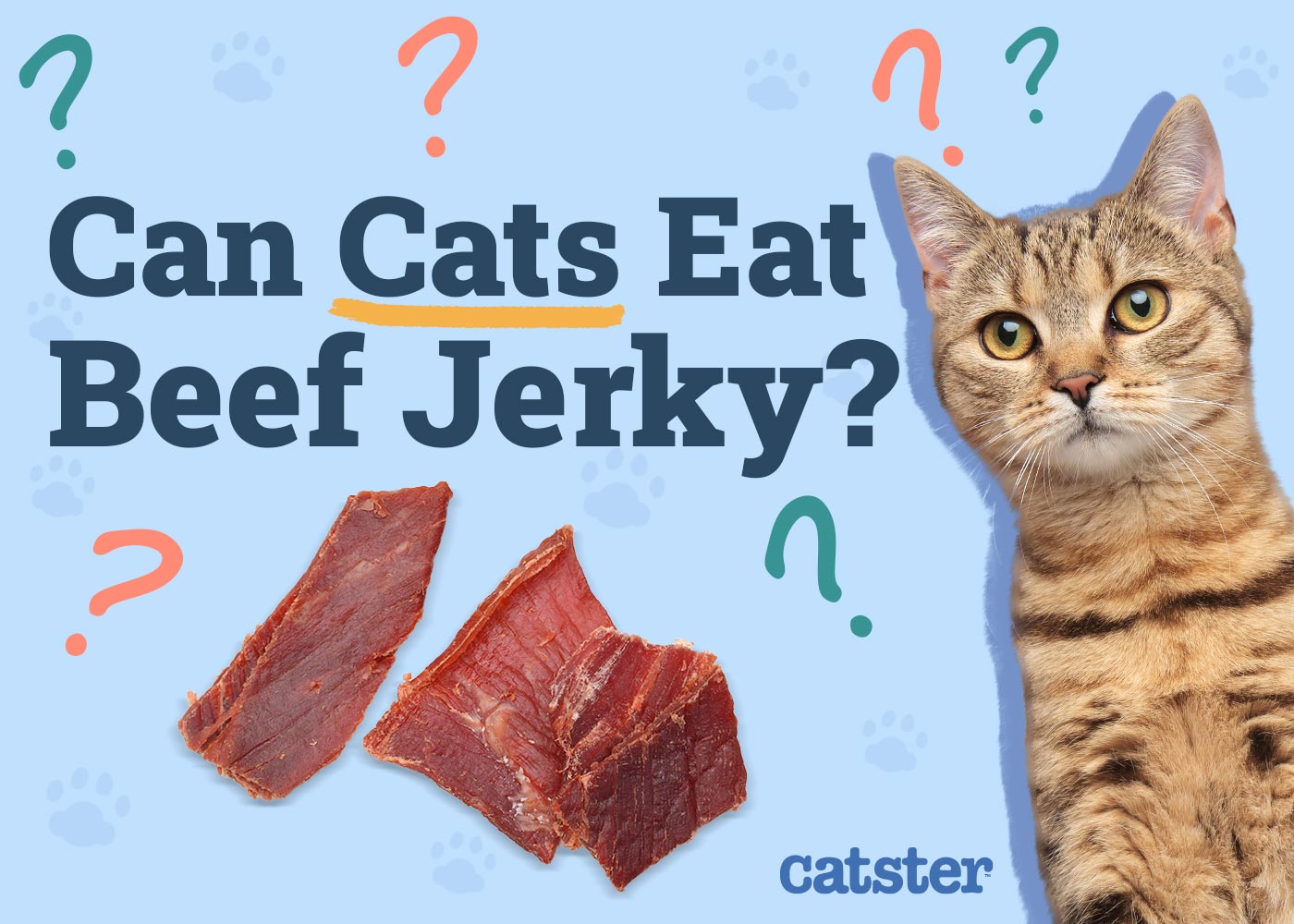 Can Cats Eat Beef Jerky? Vet-Approved Health and Nutrition Advice