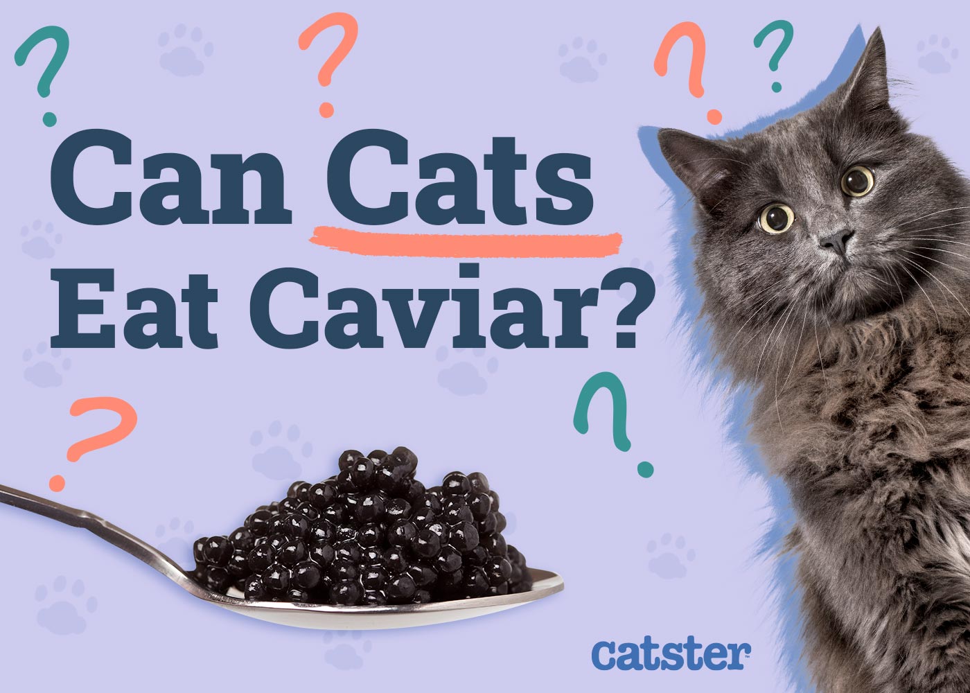 Can Cats Eat Caviar? Vet-Verified Benefits & Precautions