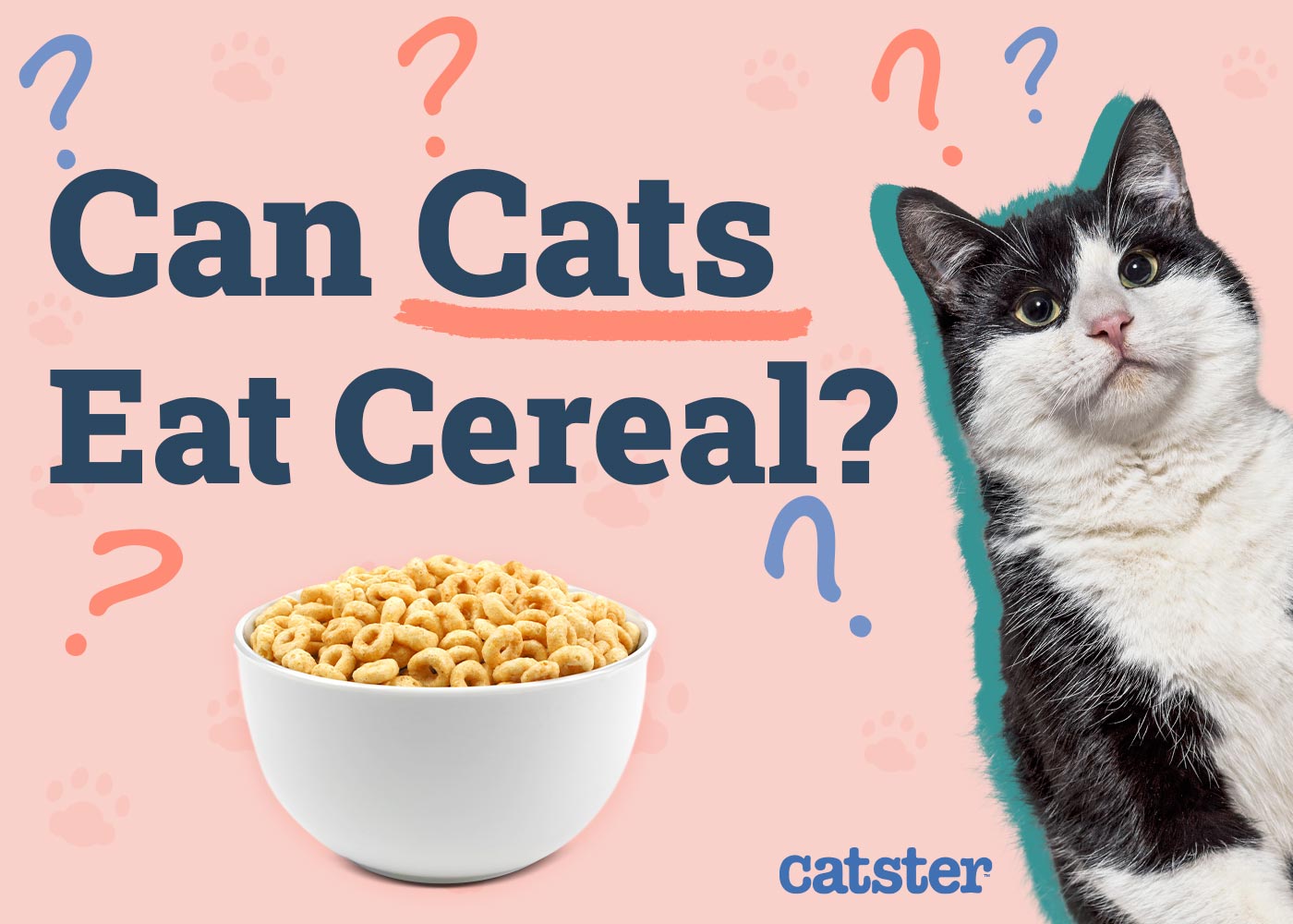 Can Cats Eat Cereal? Vet-Verified Nutrition Facts & FAQ