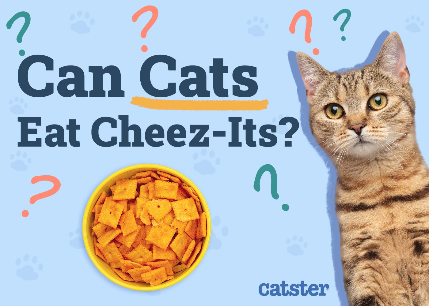 Can Cats Eat Cheez-Its