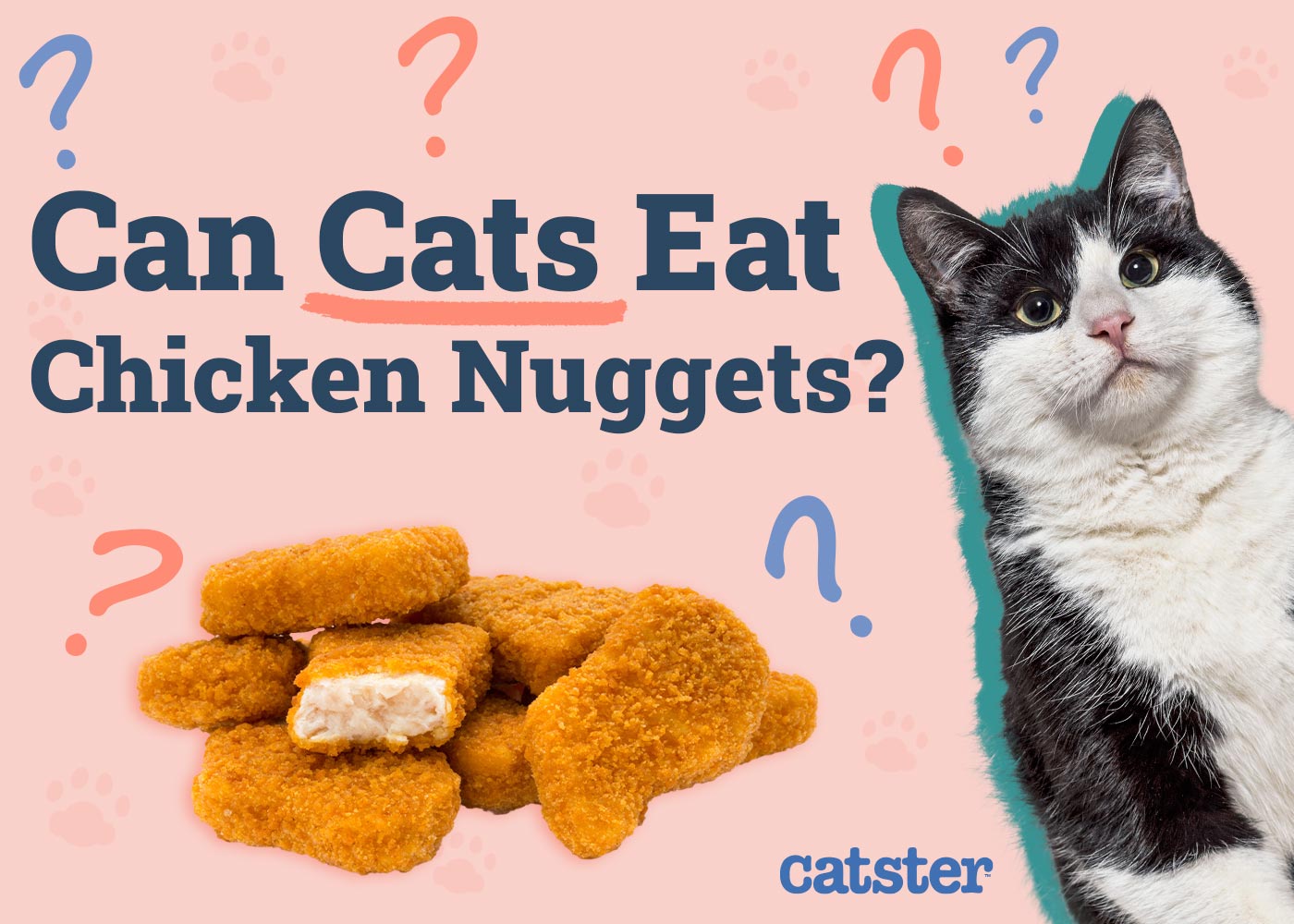 Can Cats Eat Chicken Nuggets? Vet-Verified Facts & FAQ