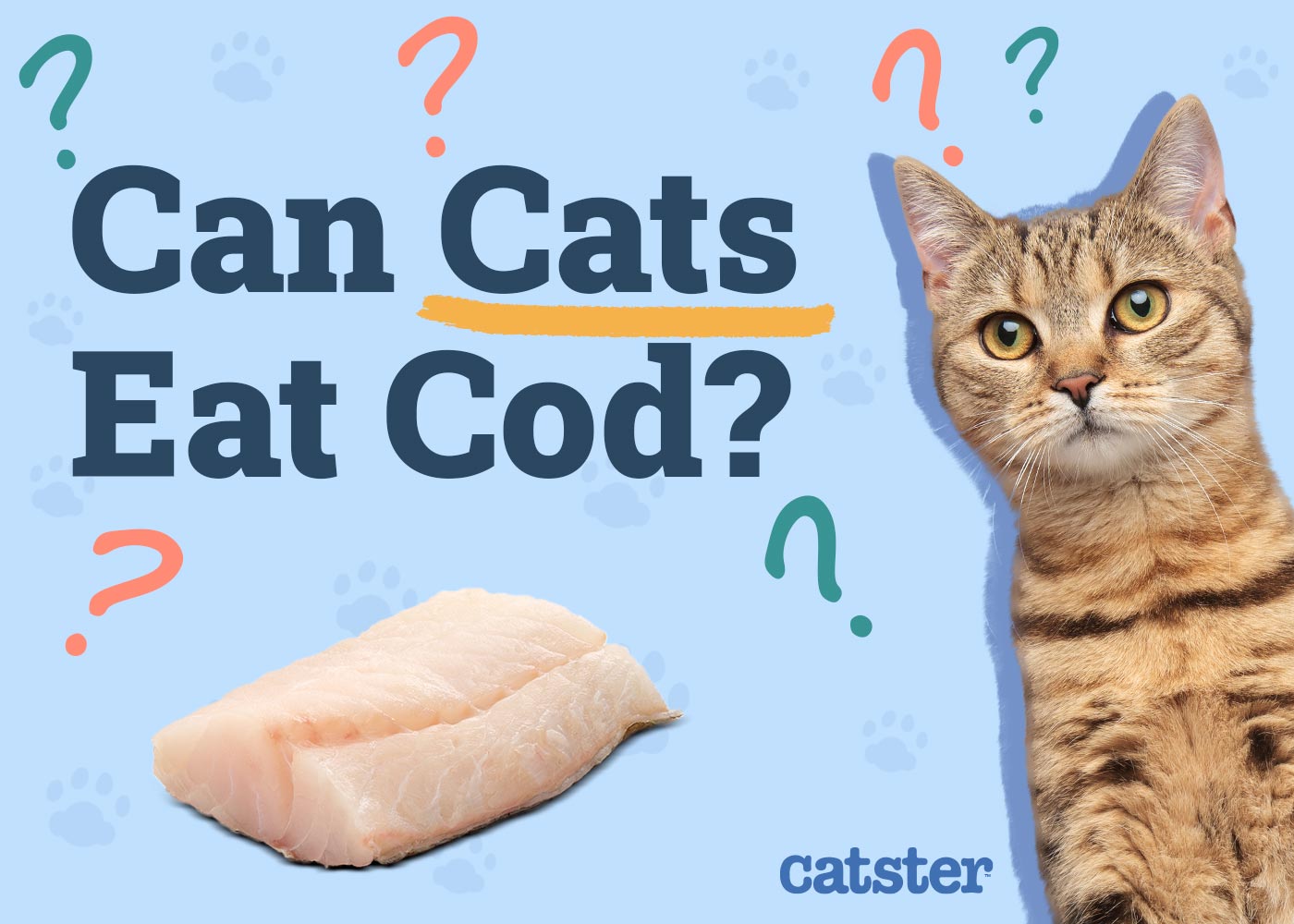 Can Cats Eat Cod? Vet Approved Nutritional Facts & FAQ