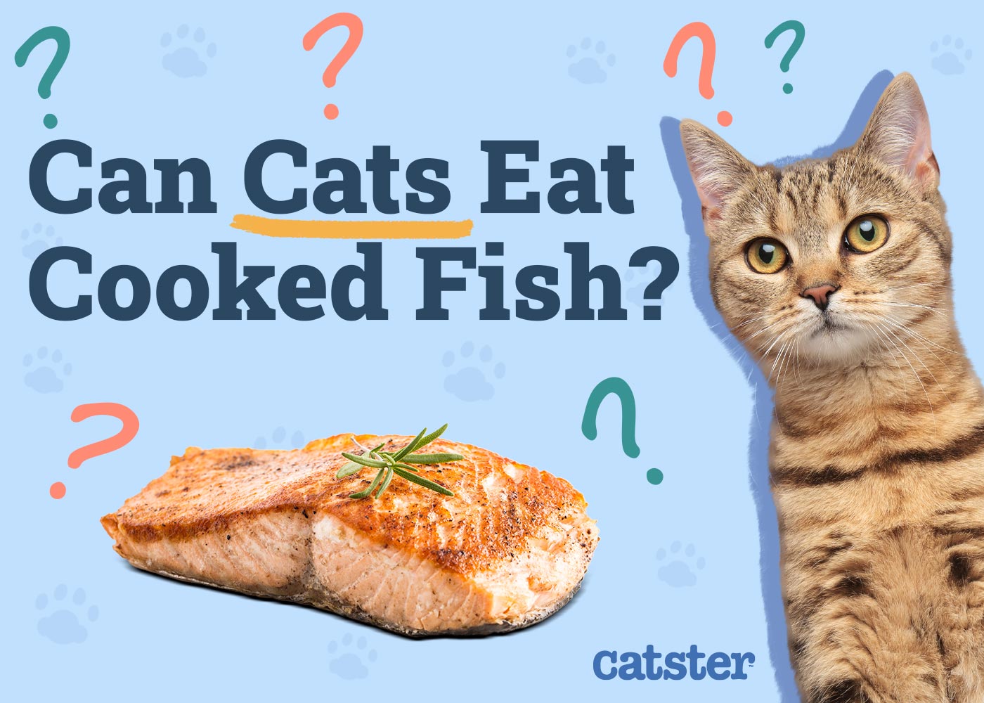 Can Cats Eat Cooked Fish? Vet-Reviewed Facts & FAQ
