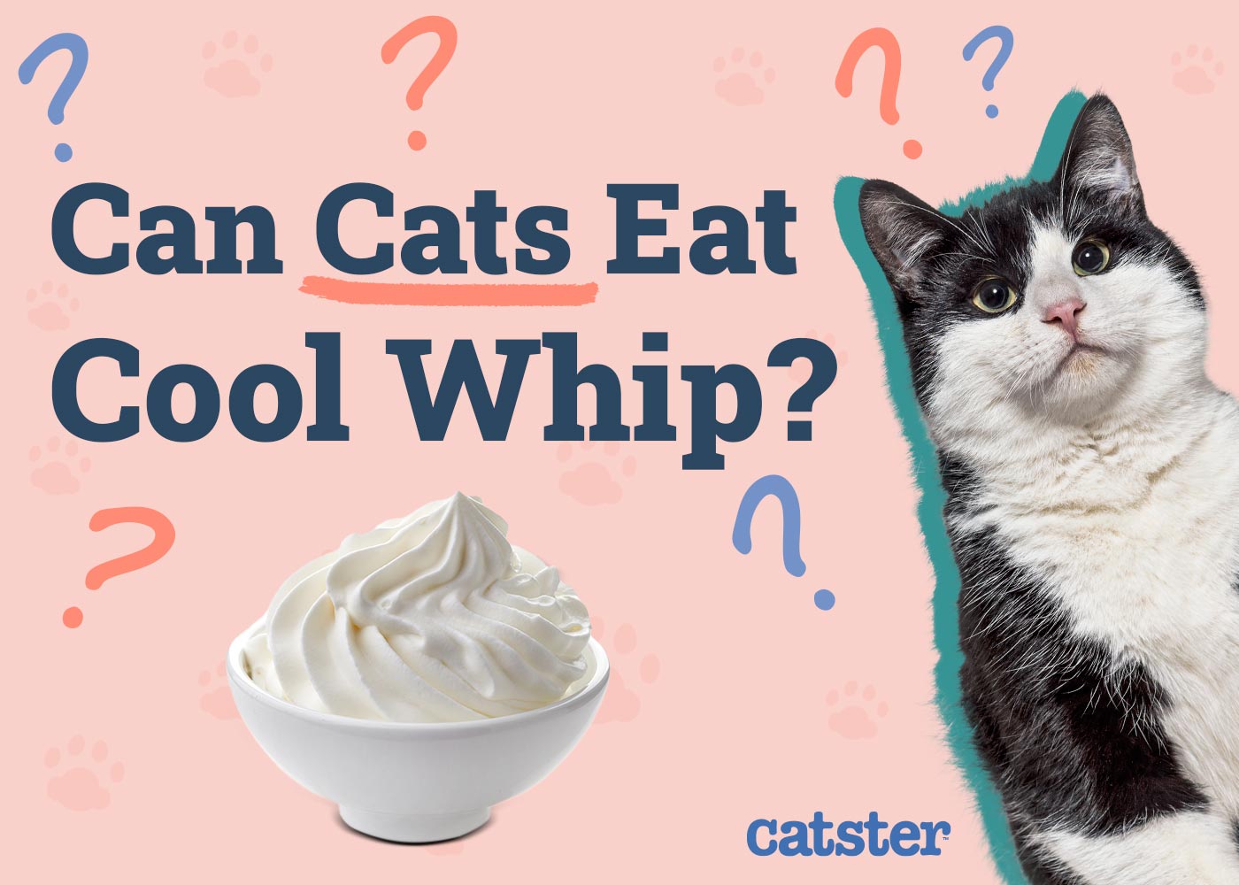 Can Cats Eat Cool Whip? Vet-Approved Nutritional Facts & Safety Tips