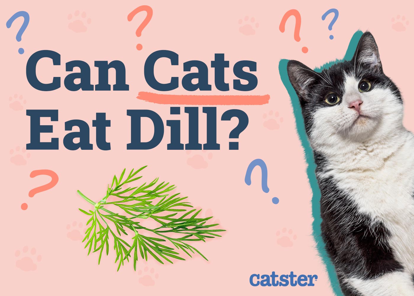 Can Cats Eat Dill? Vet-Reviewed Facts & FAQ