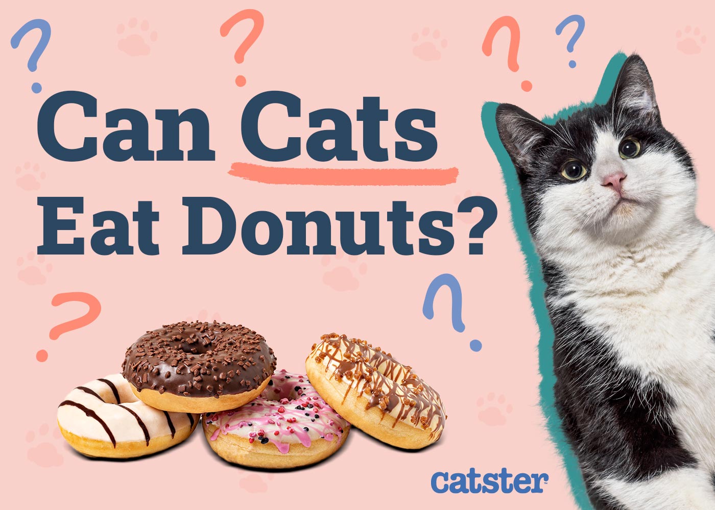 Can Cats Eat Donuts? Vet-Reviewed Nutritional Facts & FAQ