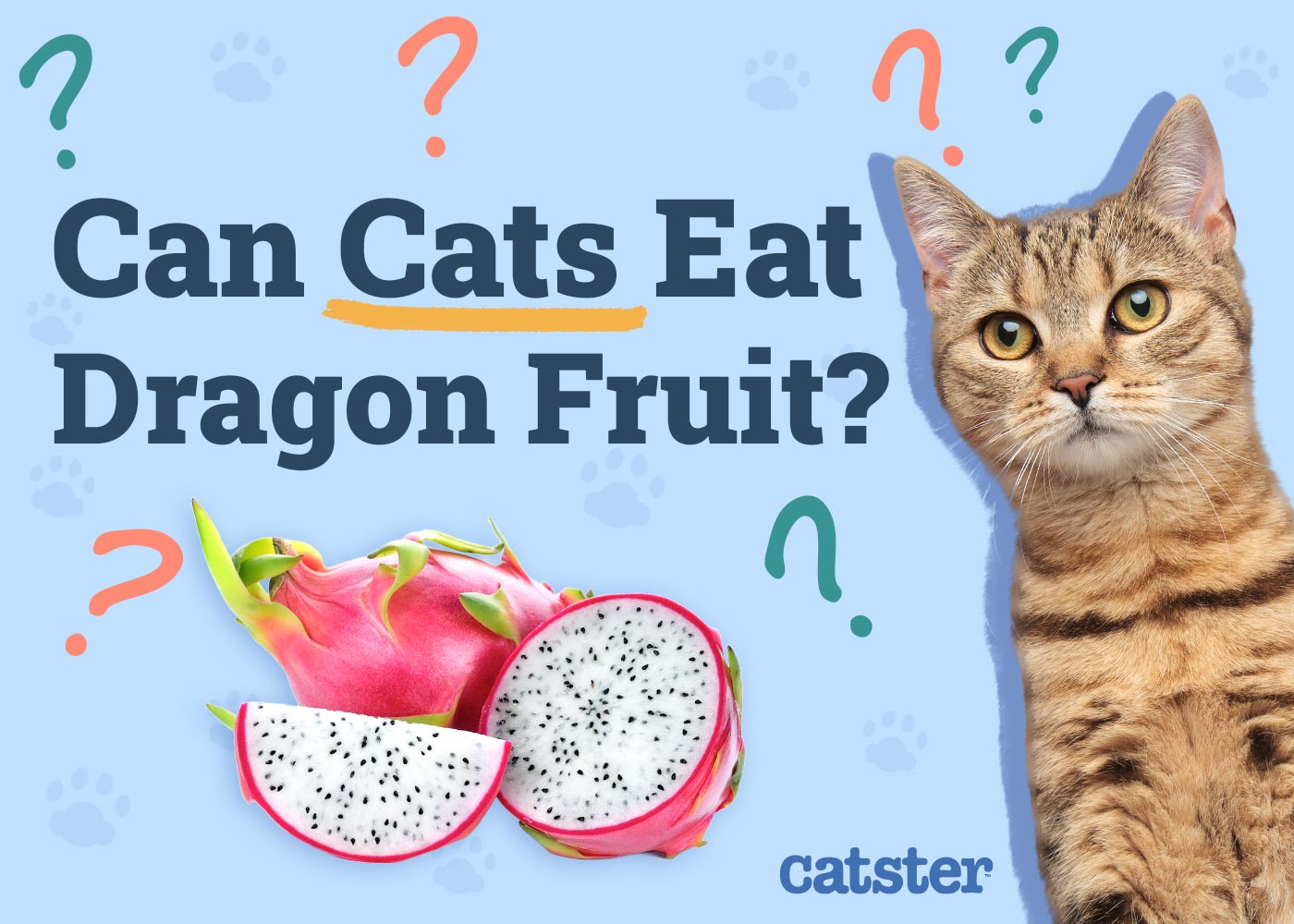 Can Cats Eat Dragon Fruit? Vet-Reviewed Facts & FAQ