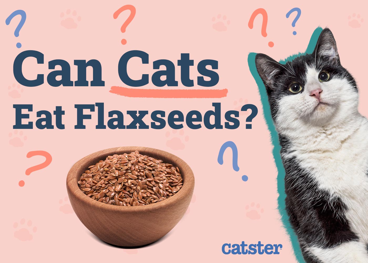 Can Cats Eat Flaxseeds? Vet-Approved Nutritional Facts & FAQ