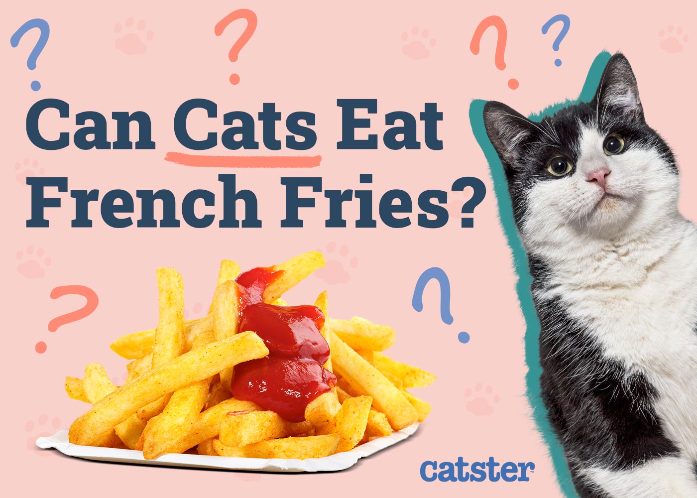 Can Cats Eat French Fries? Vet-Verified Nutritional Facts & Health Concerns