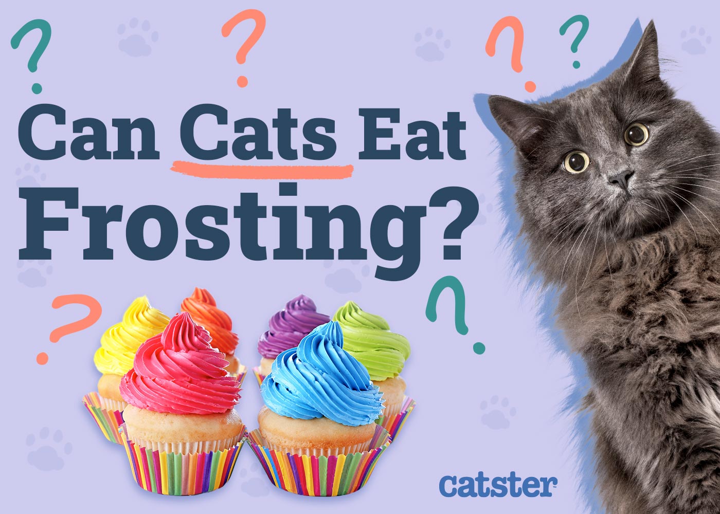 Can Cats Eat Frosting? Vet-Reviewed Facts & FAQ