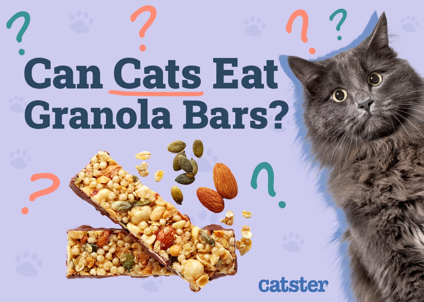 Can Cats Eat Granola Bars? Vet-Reviewed Health Facts & FAQ