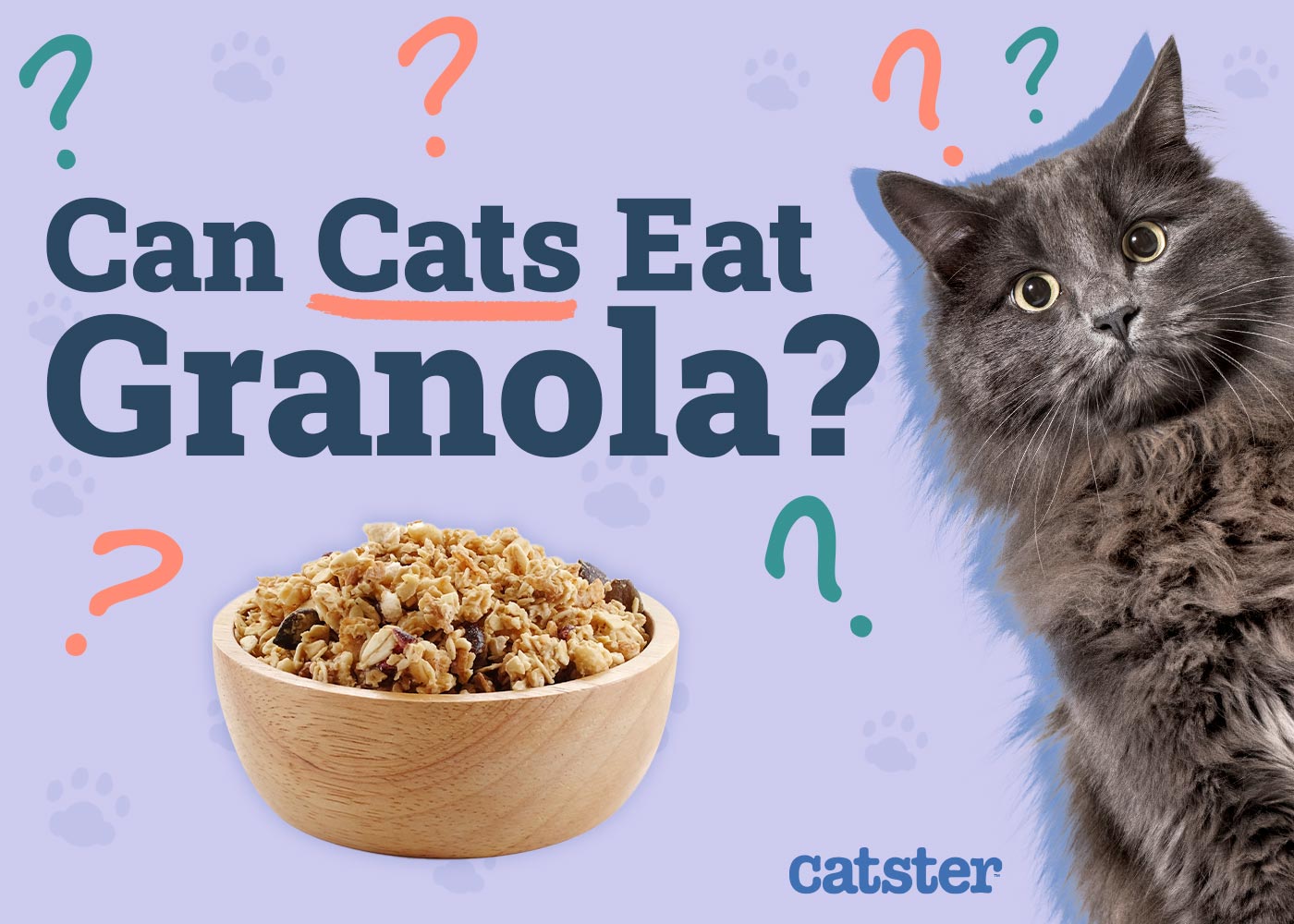 Can Cats Eat Granola? Vet-Verified Nutritional Facts & Advice