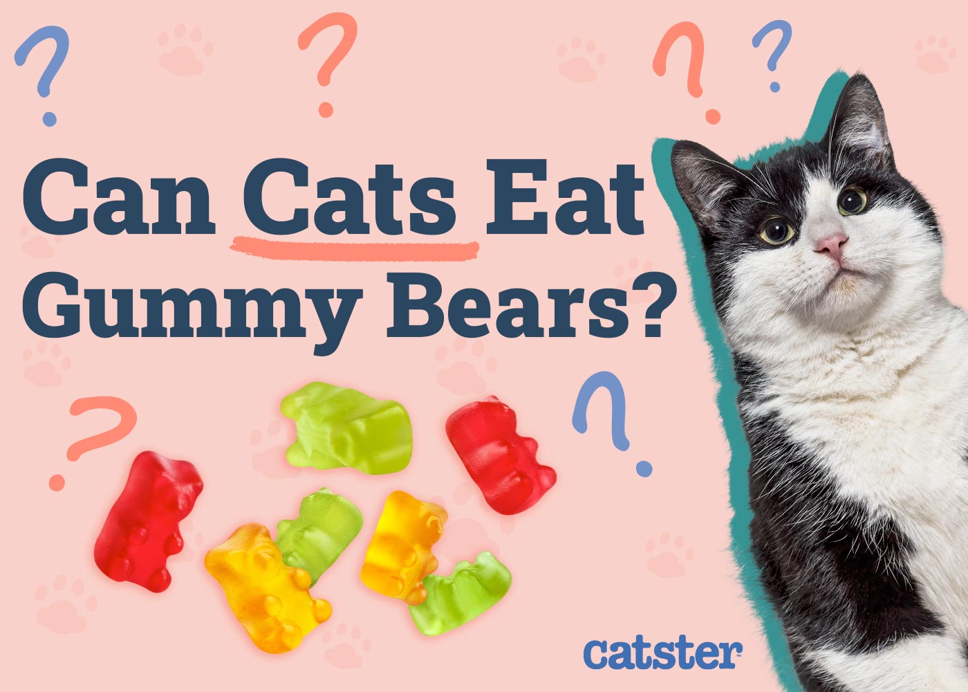 Can Cats Eat Gummy Bears? Vet-Reviewed Nutritional Facts