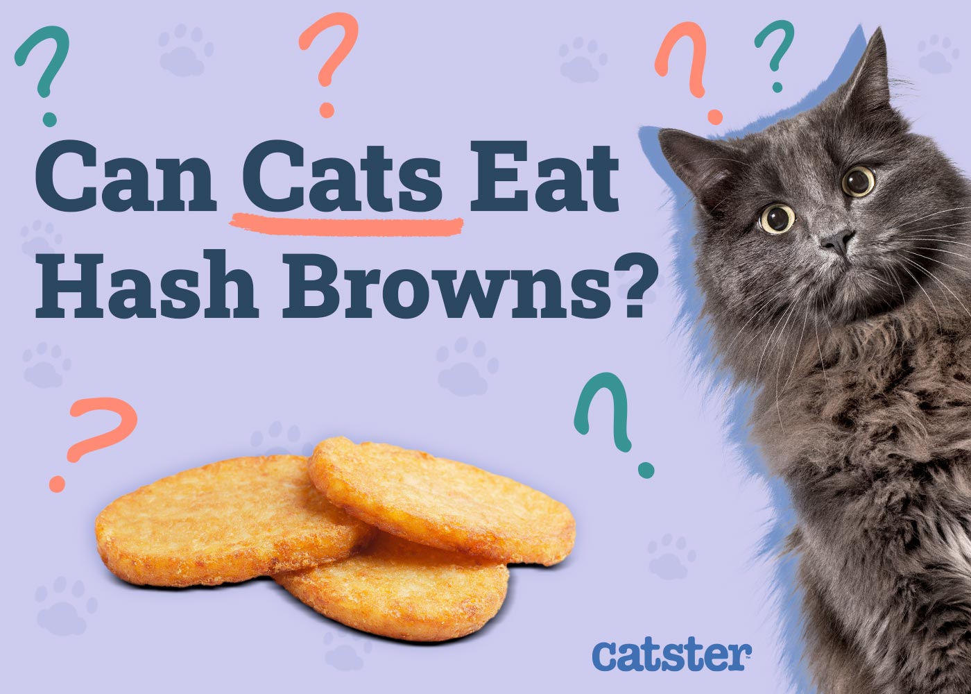 Can Cats Eat Hash Browns? Vet-Reviewed Facts & FAQ
