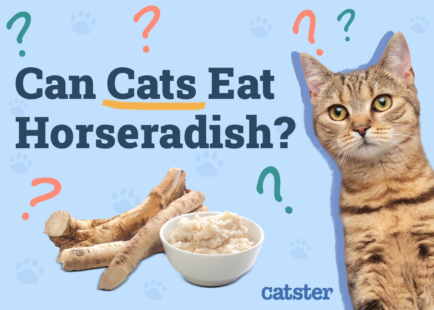 Can Cats Eat Horseradish? Vet-Approved Nutrition Facts