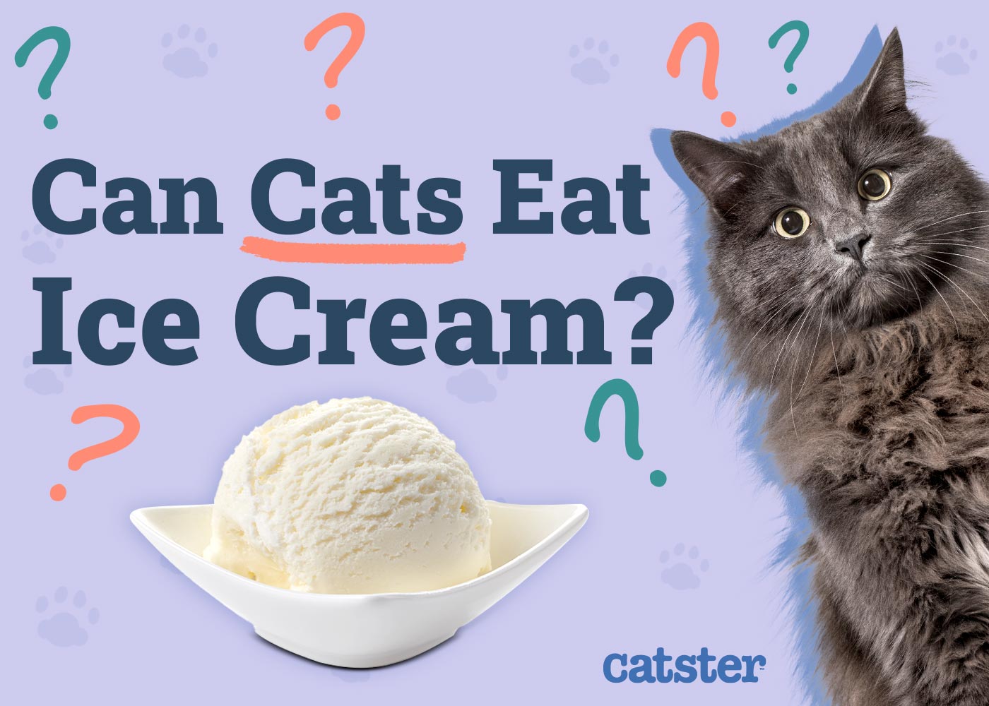 Can Cats Eat Ice Cream? Vet Approved Facts & Alternatives