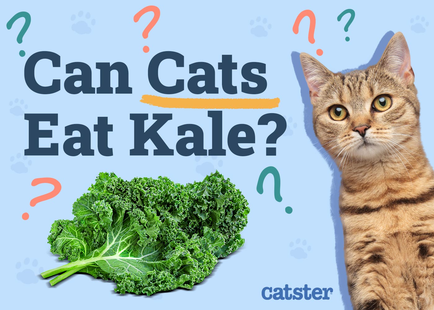 Can Cats Eat Kale? Vet-Reviewed Nutrition Facts & FAQ