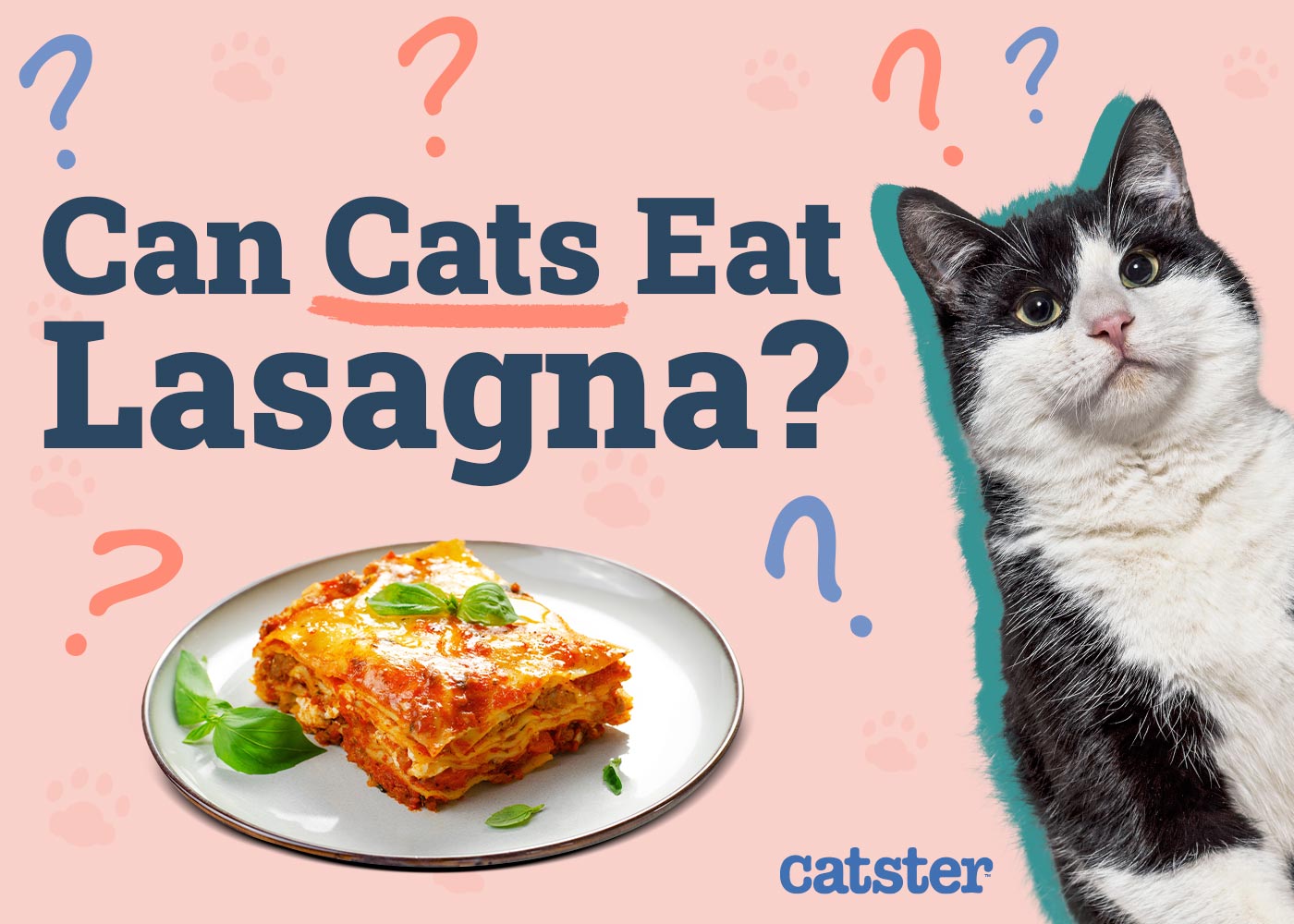 Can Cats Eat Lasagna? Vet-Approved Nutritional Facts