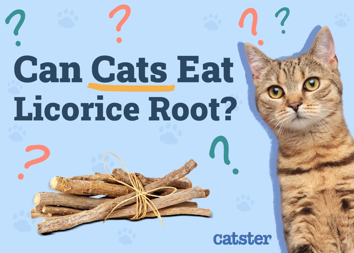 Can Cats Eat Licorice Root? Vet Approved Nutrition Advice