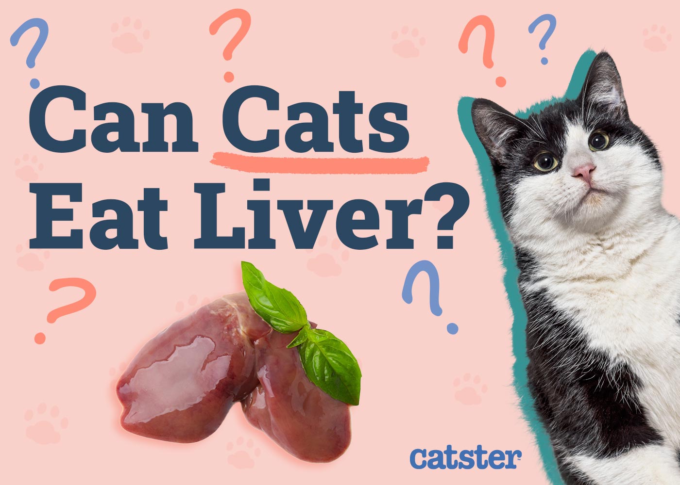 Can Cats Eat Liver? Vet-Approved Nutrition Facts