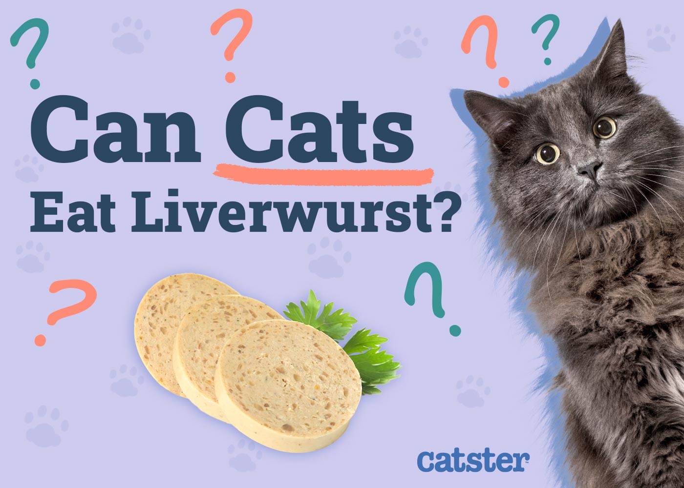 Can Cats Eat Liverwurst? Our Vet Answers & Explains