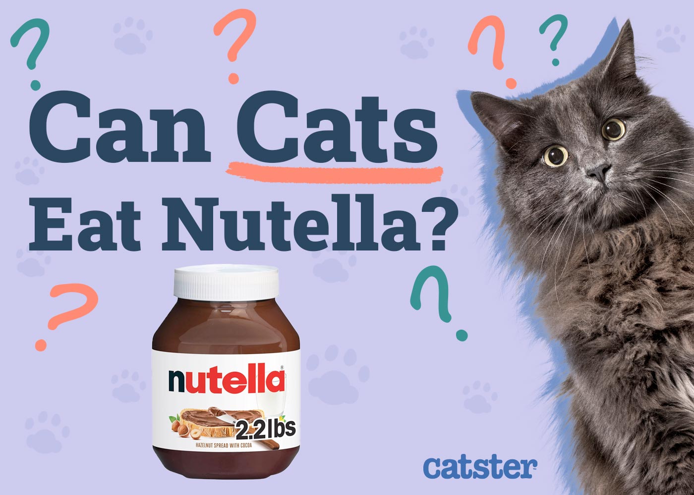 Can Cats Eat Nutella? Vet-Reviewed Health Risks & Safe Alternatives