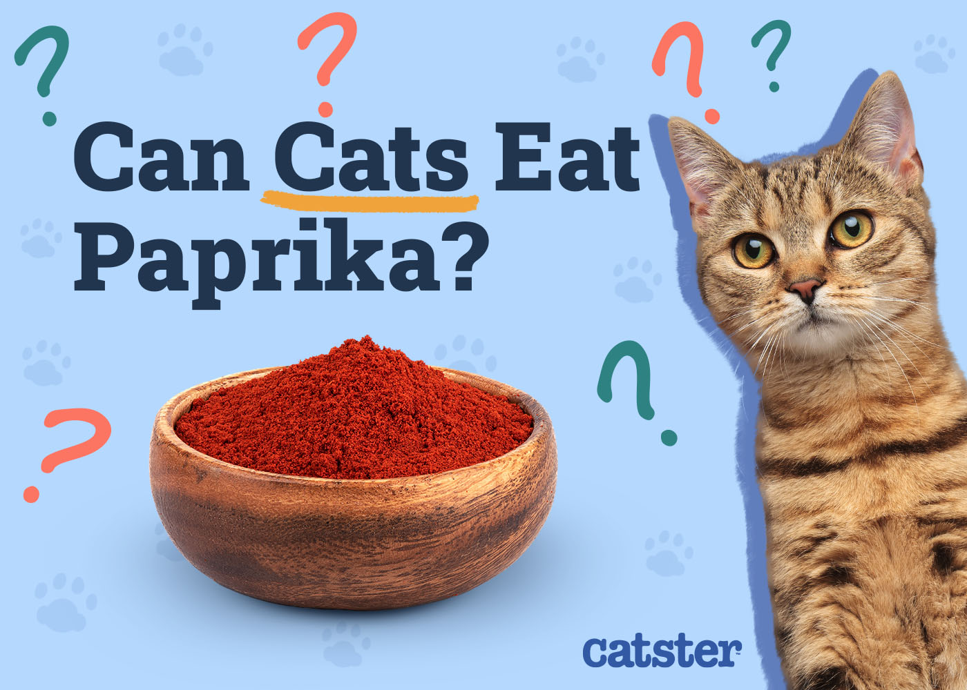 Can Cats Eat Paprika? Vet-Reviewed Facts & FAQ