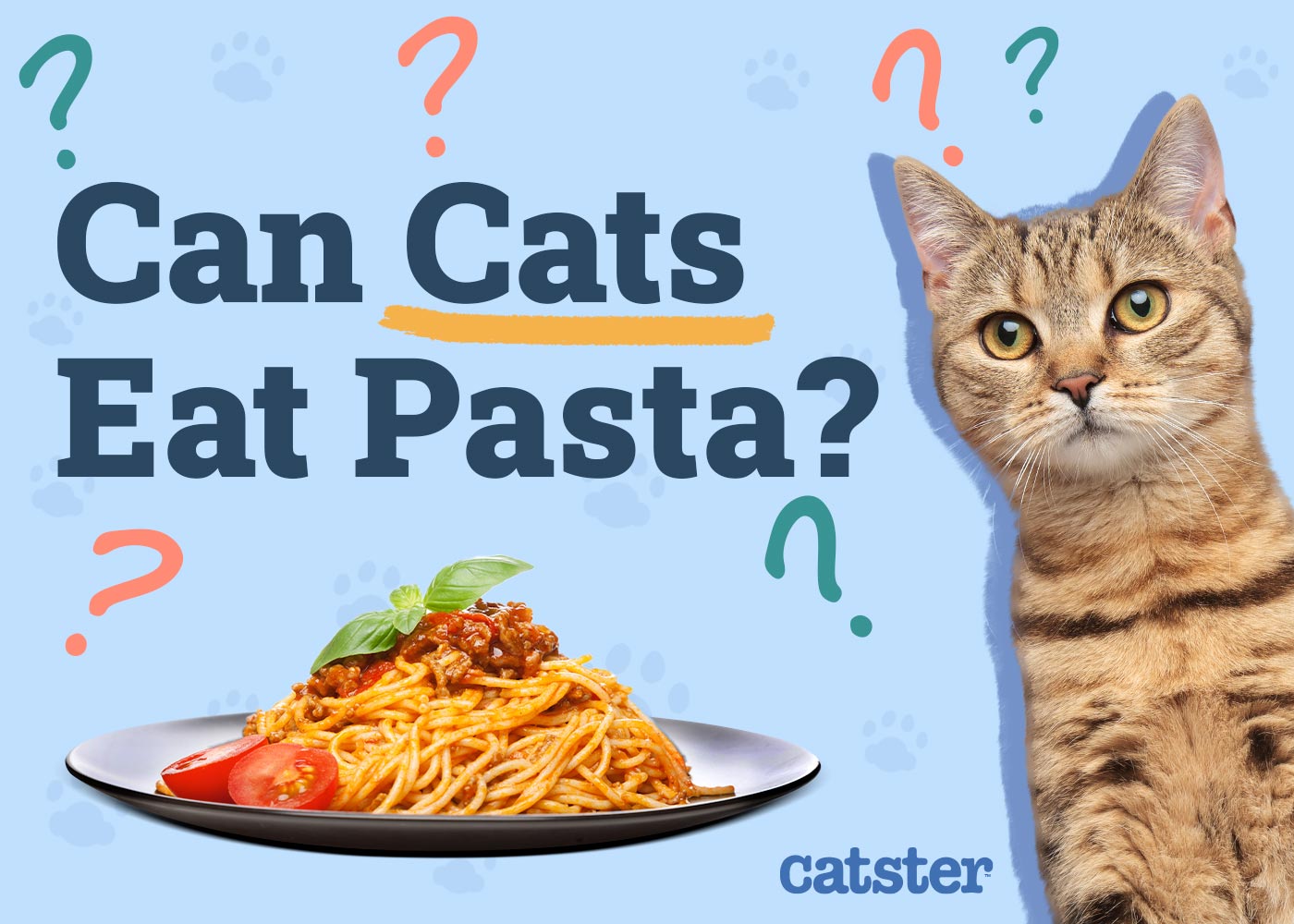 Can Cats Eat Pasta? Vet-Reviewed Diet Facts & FAQ