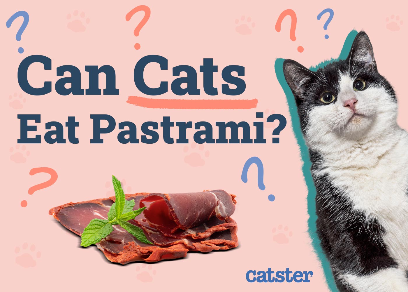 Can Cats Eat Pastrami? Health Advice & Alternatives