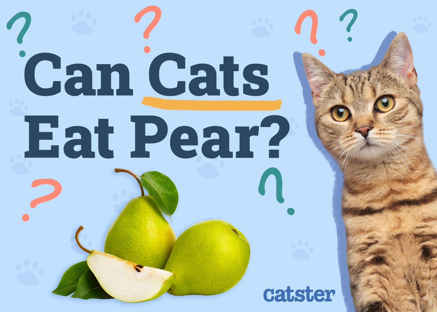 Can Cats Eat Pears? Vet-Verified Nutrition Facts & FAQ