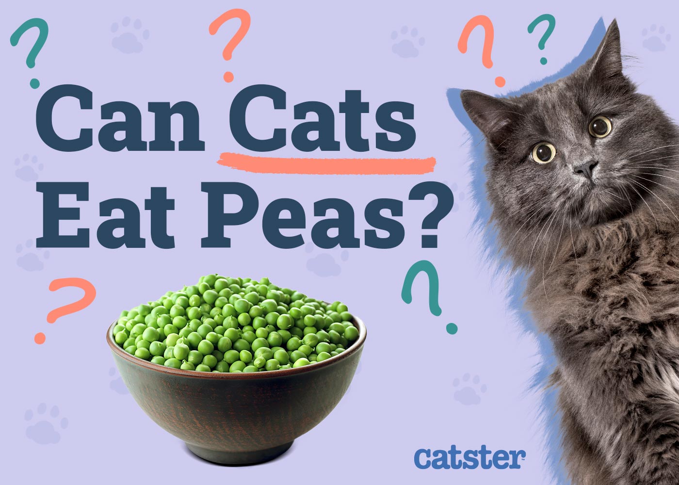 Can Cats Eat Peas? Vet-Reviewed Facts & FAQ