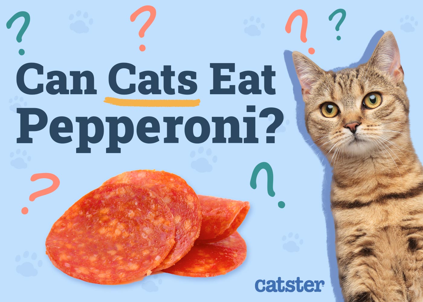 Can Cats Eat Pepperoni? Vet-Reviewed Nutritional Facts & Safety Info