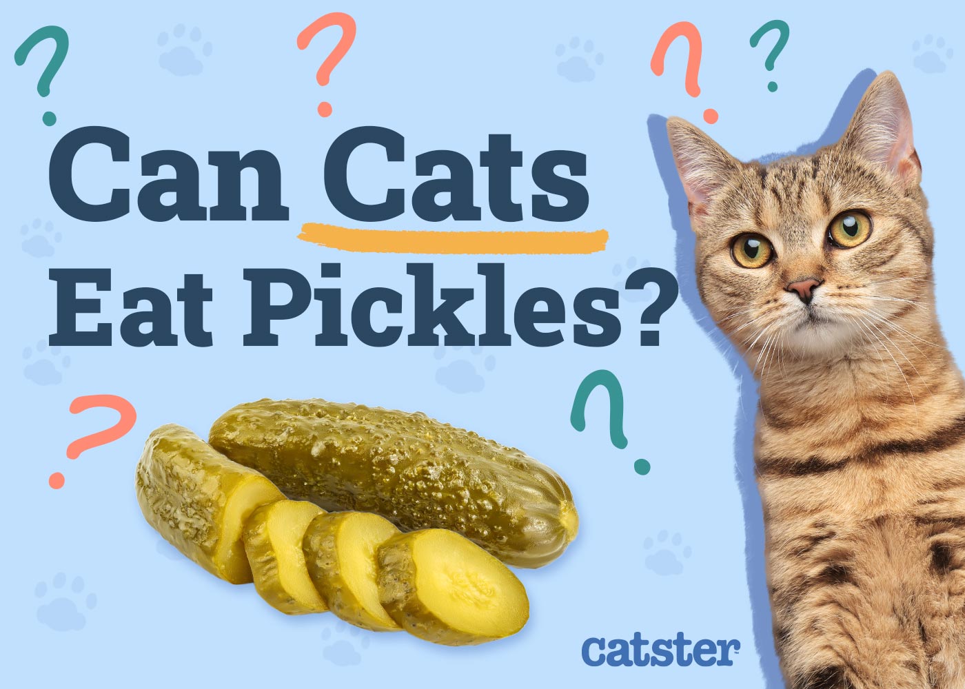 Can Cats Eat Pickles? Vet-Approved Health Facts & Nutritional Advice