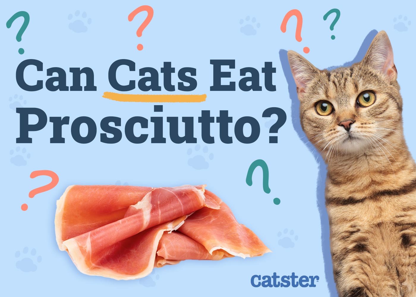 Can Cats Eat Prosciutto? Vet-Approved Nutritional Advice & FAQ