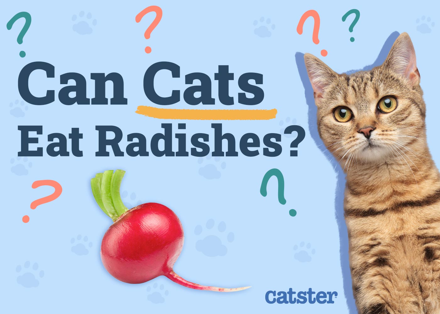 Can Cats Eat Radishes? Vet-Reviewed Facts & FAQ